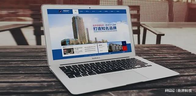 品牌网站建设案例(图1)