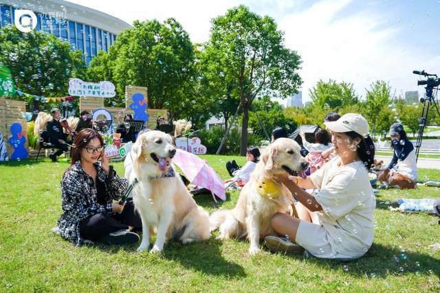 森林剧场迎来“毛孩子”九棵树举办首场萌宠音乐会→(图4)