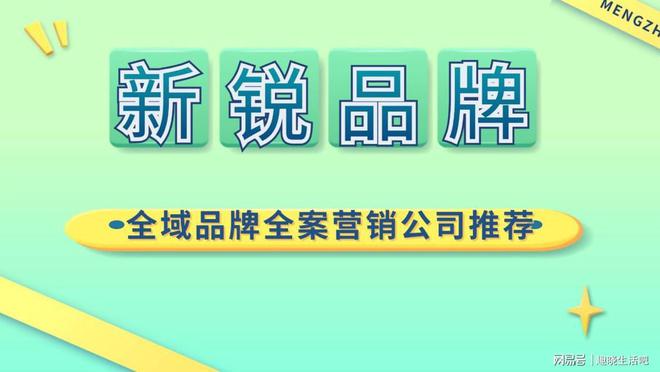 新锐品牌全域品牌全案营销公司推荐(图1)