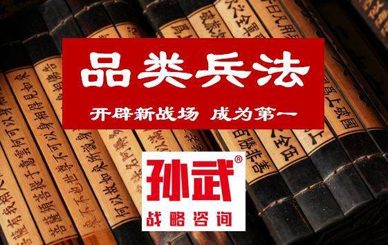 拒绝高额品牌战略定位咨询费孙武战略咨询品牌策划公司特色(图4)