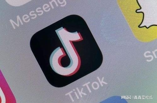 TikTok公会申请秘籍条件与流程(图2)