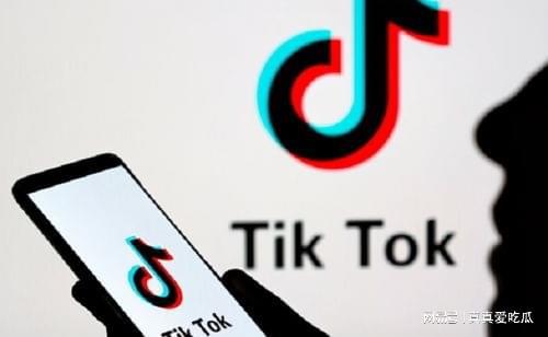 TikTok公会申请秘籍条件与流程(图3)